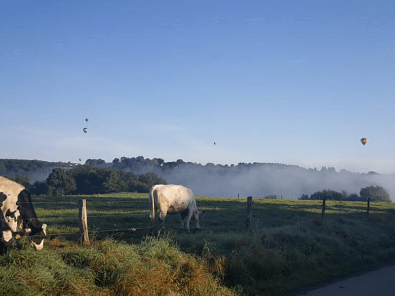 Ardennen4All_Bed_and_Breakfast_Michelle_Uitzicht.png