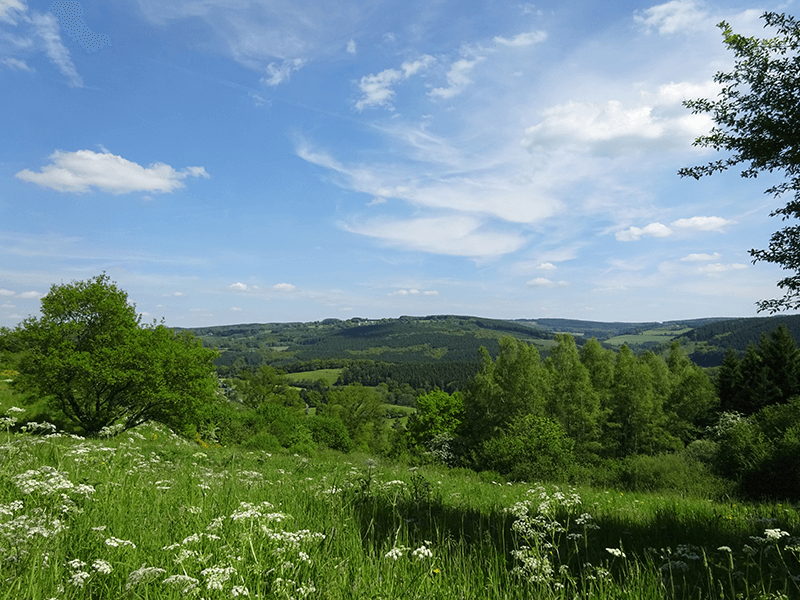 Ardennen4All_De_Oude_Essen_Uitzich_vanaf_Terras.png